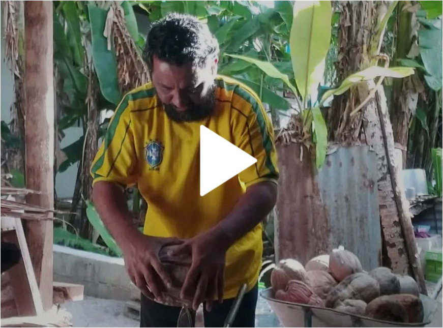 Coconut husks removing