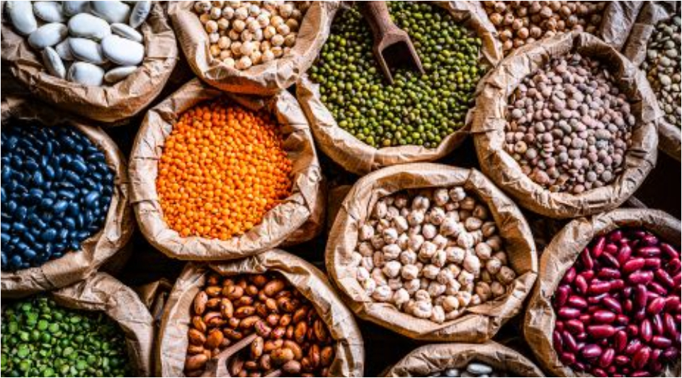 Beans: The Unsung Heroes of Healthy Living and&nbsp;Sustainability